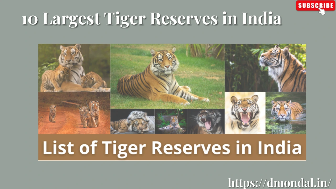10 Largest Tiger Reserves in India