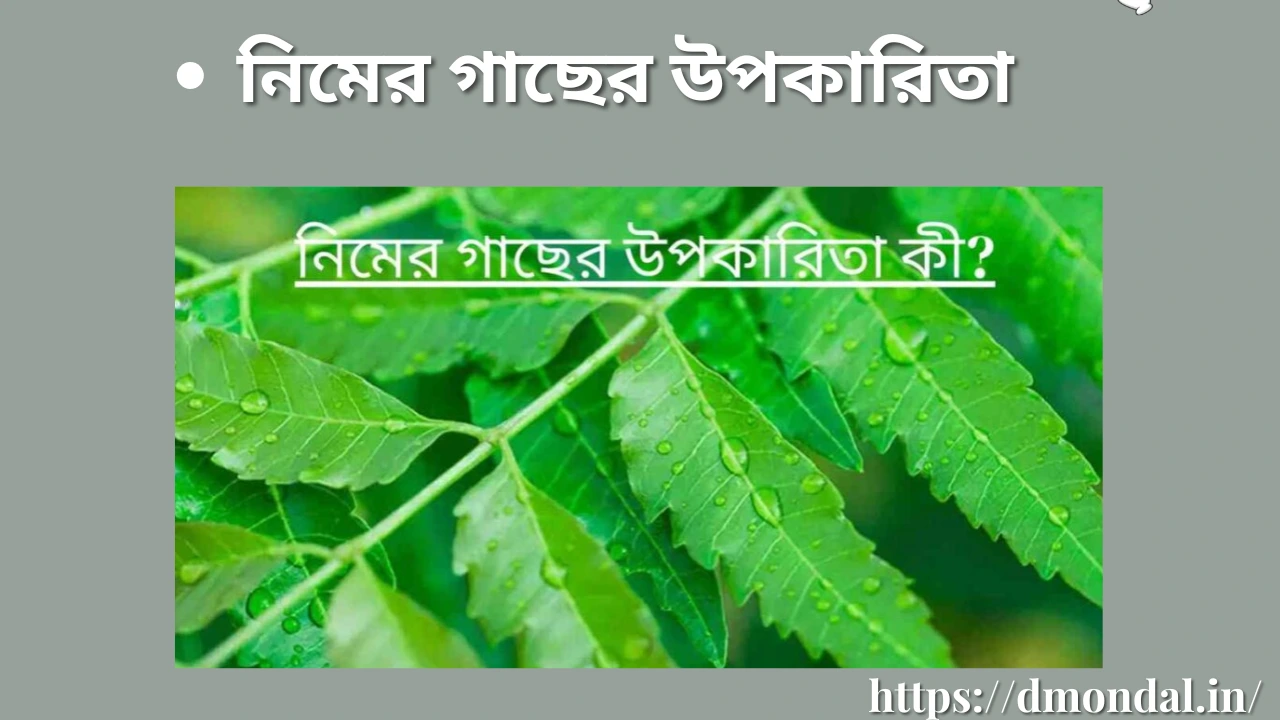 নিমের গাছের উপকারিতা